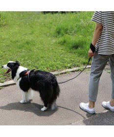 PET PARADISE 両面反射リード ブラック120㎝【Ｍ～Ｌ】