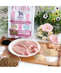 PET PARADISE ペットパラダイス 国産 ドッグフード ビオキッチン 1kg ＆ フローラ 1kg