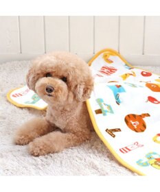 PET PARADISE ディズニー くまのプーさん ブランケット 《数字柄》 90×60cm