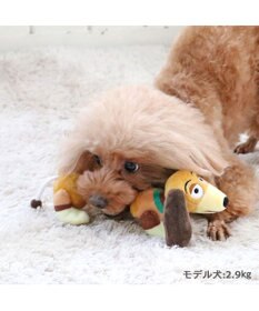 PET PARADISE ディズニー ロープトイ・ストーリー スリンキー 大