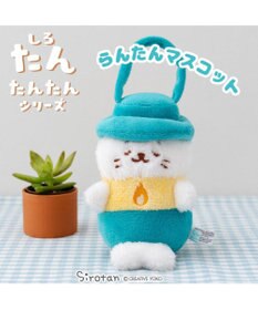 しろたんたち しろたん お友達 顔ぼん ダストボックス 3個セット《しろたんL