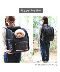 ペットパラダイス 折畳み ハウスリュック 小型犬 / PET PARADISE