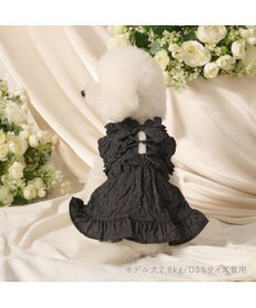 PET PARADISE cherircouture フリルリボン ワンピース 《ブラック》 小型犬