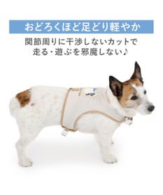 PET PARADISE リサとガスパール 保冷剤付き クール ハーネス 《シトラス柄》  ＳＳ 小型犬