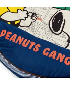 PET PARADISE スヌーピー クッション ワッペンＬ