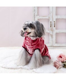 PET PARADISE ディズニー ミニーマウス ヨーク ワンピース 小型犬