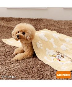 PET PARADISE ディズニー ミッキーマウス プルート シェニール ブランケット