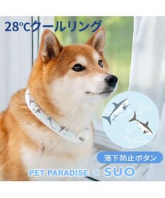 PET PARADISE ペットパラダイス ２８℃ クールリング Ｌ 《サメ柄》