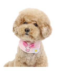 PET PARADISE ディズニー くまのプーさん 《ピグレット にこにこ》 首輪 3S  小型犬