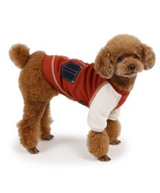 PET PARADISE ペットパラダイス プレミアムペティヒート  ステッチTシャツ 《橙》 超小型犬 小型犬