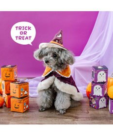 PET PARADISE ペットパラダイス 魔法つかいマント 小型犬