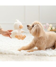 PET PARADISE ペットパラダイス 白あひるさん トイ
