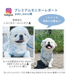PET PARADISE クールネック バンダナ《 ボタニカル/ しろくま/シフォン襟》 保冷剤付き 【中型犬】【大型犬】