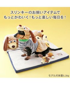 PET PARADISE ディズニー トイ・ストーリー スリンキー ピロー付きマット