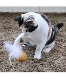 PET PARADISE ペットパラダイス 猫 羊毛ボール 羽付き 【単品】