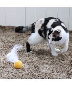 PET PARADISE ペットパラダイス 猫 羊毛ボール 羽付き 【単品】
