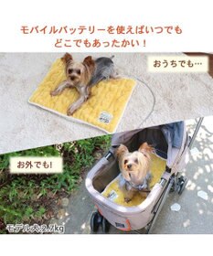 PET PARADISE ペットパラダイス USB あったかマット (55×40cm)
