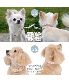 PET PARADISE ペットパラダイス １８℃ クールリング ３Ｓ 《アイス柄》