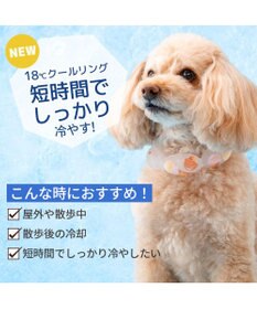 PET PARADISE ペットパラダイス １８℃ クールリング ３Ｓ 《アイス柄》