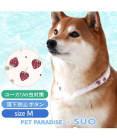 PET PARADISE ペットパラダイス 28℃クールリング 《いちご》 M 大型犬