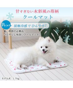 PET PARADISE 犬 クール マット 冷感 柔らか クールマット (48×40cm) 苺 くまちゃん ネイティブ 接触冷感 ひんやり ペット