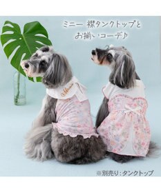 PET PARADISE ディズニー ミニーマウス エコメイド シアー ワンピース  小型犬