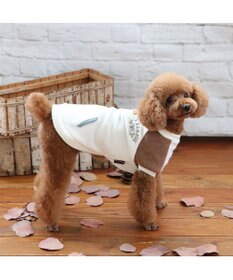 PET PARADISE ペットパラダイス  ワンダフルストレッチ フリース トレーナー《クレイジーカラー 》小型犬