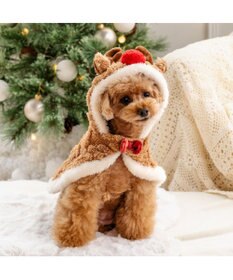 PET PARADISE ペットパラダイス トナカイ ポンチョ 2025 小型犬