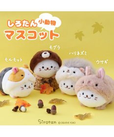 Mother garden しろたん 小動物 マスコット 《ハリネズミ / ウサギ / モルモット / モグラ》 【単品】