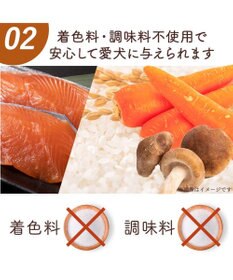 PET PARADISE 愛犬にやさしい スープごはん 鮭