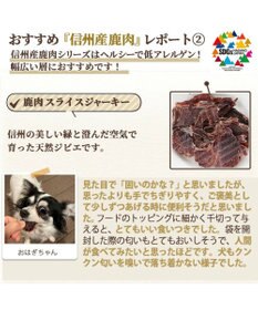 PET PARADISE ペットパラダイス 犬 おやつ デリスタイル8種類 肉系セット（ジビエ含む）
