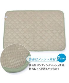 PET PARADISE 犬 クール マット 冷感 スヌーピー 柔らか  サーフ柄クールマット (90×60cm) 接触冷感 ひんやり ペット