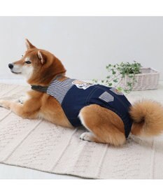 PET PARADISE スヌーピー makokoro マナーオール 《フレンズ柄》 中型犬