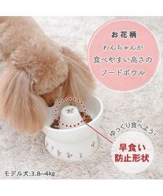PET PARADISE ペットパラダイス 早食い防止 高さのある フードボウル 《お花 》
