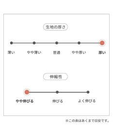 PET PARADISE スヌーピー ポンチョ 《にっこりチェック柄》小型犬