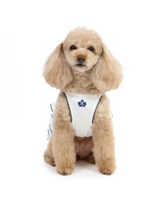 PET PARADISE ペットパラダイス エコメイド 天竺 刺繍キャミソール 小型犬