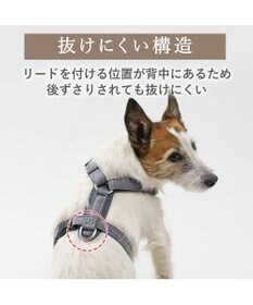 PET PARADISE ペットパラダイス アクティブハーネス 杢調 Ｓ 小型犬