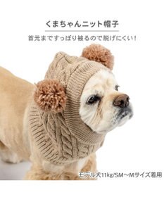PET PARADISE ペットパラダイス くまちゃん ニット 帽子 中型犬 大型犬