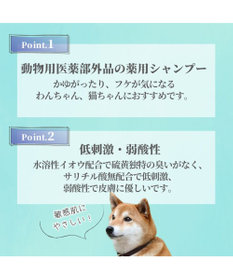 PET PARADISE ペットパラダイス  薬用 イオウ シャンプー 300mL  国産