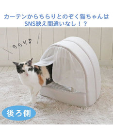 PET PARADISE 猫 ハウス クール 夏 接触冷感 ひんやり ねこハウス (40×35cm)