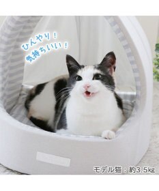 PET PARADISE 猫 ハウス クール 夏 接触冷感 ひんやり ねこハウス (40×35cm)