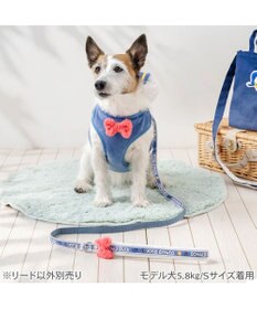 PET PARADISE ディズニー ドナルドダック リード ４Ｓ～３Ｓ
