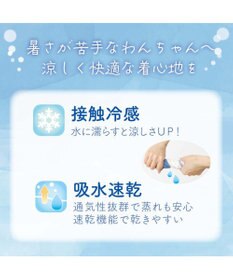 PET PARADISE スヌーピー ブラザー 接触冷感 Ｔシャツ 《ブルー》 中型犬