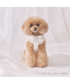 PET PARADISE cherircouture フリフリハーネス 《ホワイト》 小型犬 Ｓ