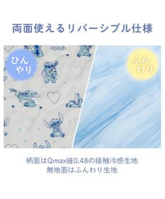PET PARADISE ディズニー スティッチ もちっと クール ブランケット