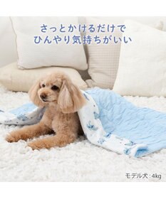 PET PARADISE ディズニー スティッチ もちっと クール ブランケット