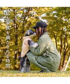 PET PARADISE ペットパラダイス くまちゃん アウターハーネス  キルト 小型犬