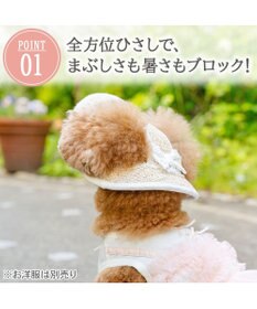 PET PARADISE ペットパラダイス レース クール ハット ４Ｓ～３Ｓ/ＳＳ～Ｓ 小型犬