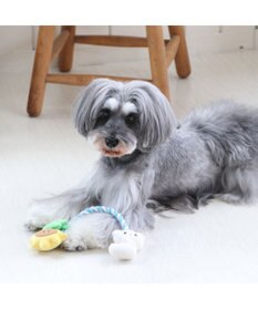 PET PARADISE 犬 トイ TOY ペットパラダイス しろくま ロープトイ