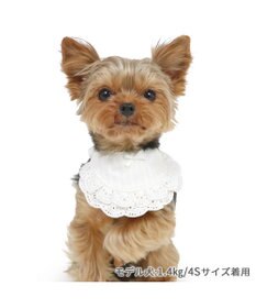 PET PARADISE ペットパラダイス フリルスタイ 小型犬